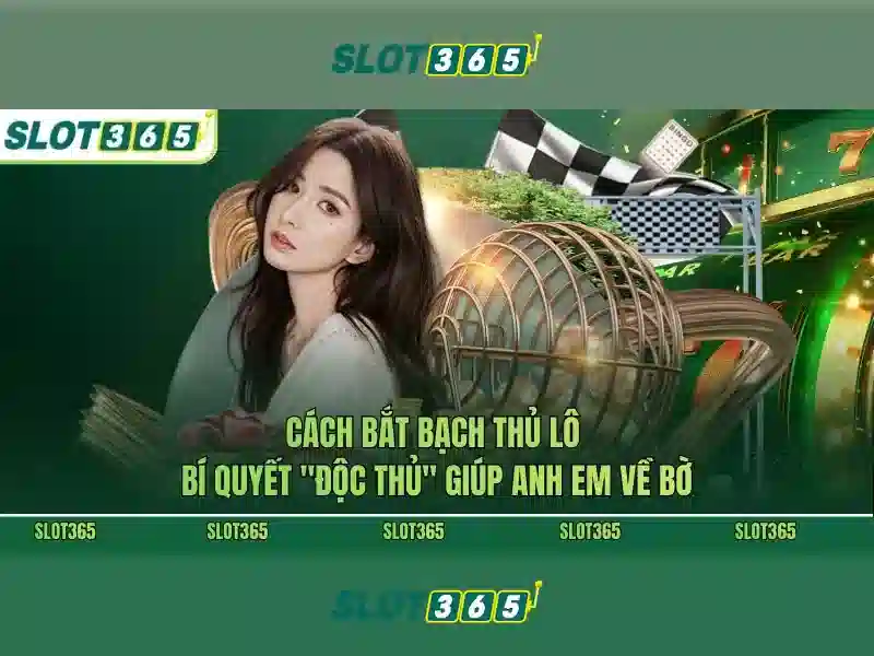 Slot365 - Nền tảng slot trực tuyến