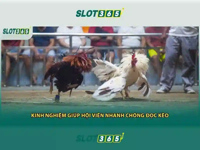 Slot365 – Nền tảng máy xèng trực tuyến hàng đầu