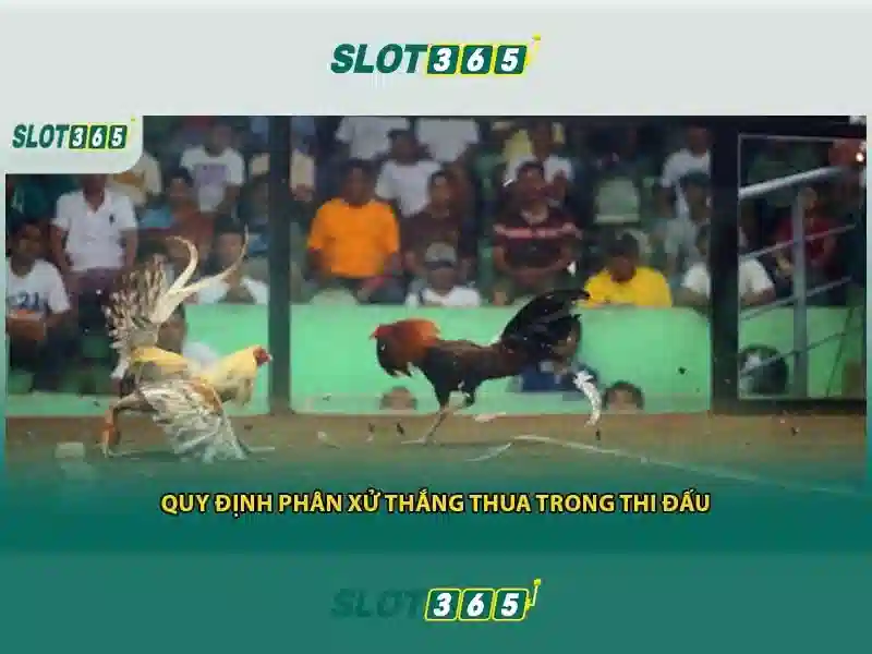 Slot365 - Nền tảng xèng trực tuyến hàng đầu