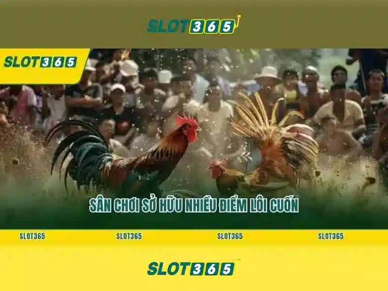 Slot365 – Nền tảng trò chơi slot trực tuyến hàng đầu