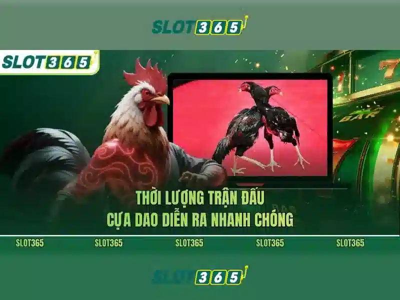Slot365 - Nền tảng đánh bạc trực tuyến