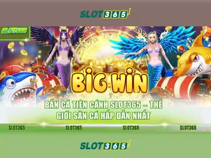 Slot365: Đánh giá nền tảng trò chơi trực tuyến