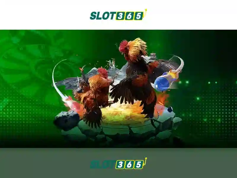 Slot365: Tổng quan về cược trực tuyến
