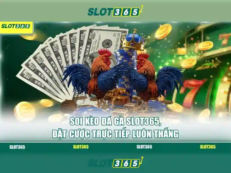 Slot365 – Trải nghiệm máy đánh bạc trực tuyến hàng đầu