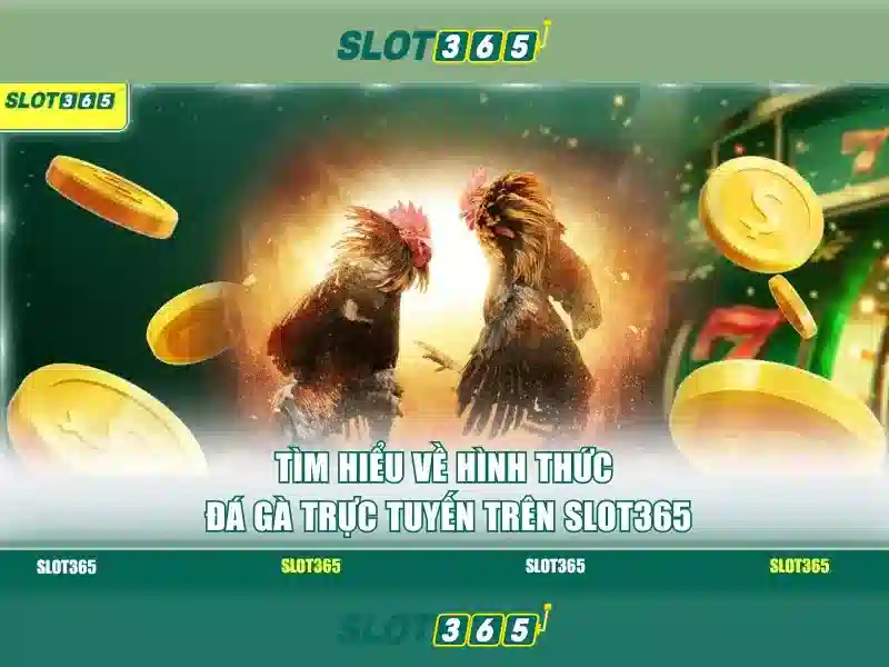 Slot365 - Nền tảng slot trực tuyến nổi bật tại Việt Nam