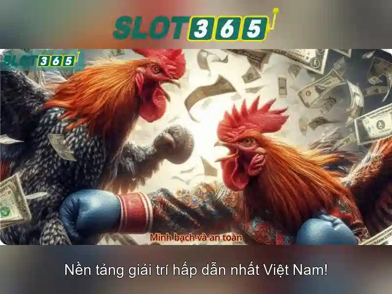 Slot365: Tổng quan về nền tảng chơi slot trực tuyến