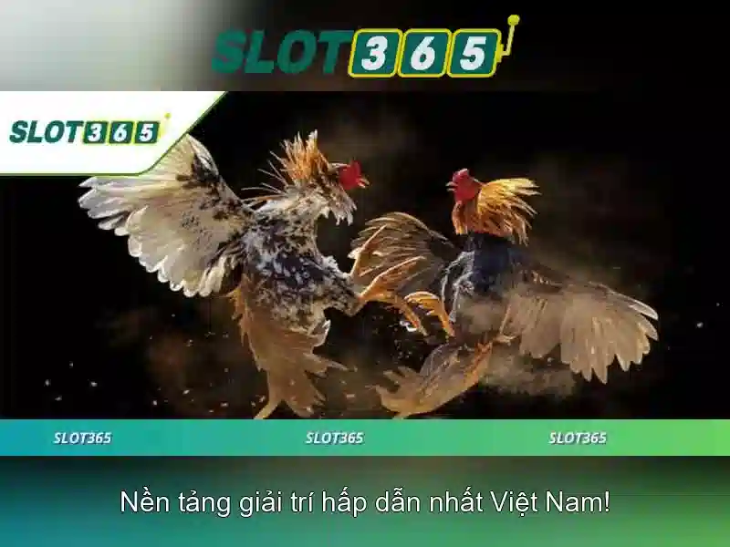 Slot365 - Nền tảng trò chơi xèng trực tuyến hàng đầu