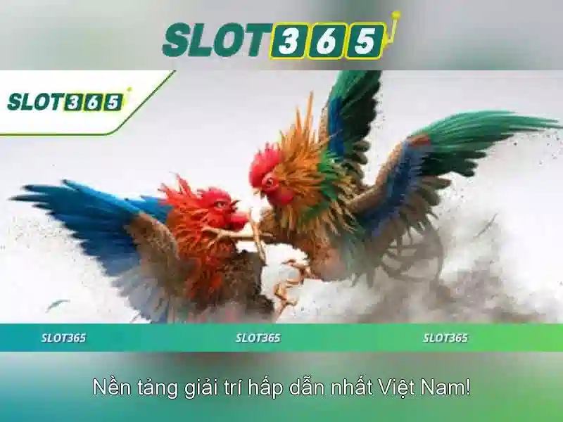 Slot365 - Khám phá trải nghiệm chơi slot trực tuyến