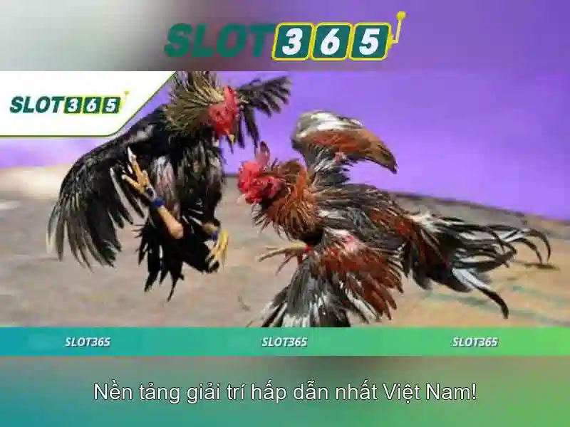 Slot365: Tổng quan về nền tảng casino slot trực tuyến