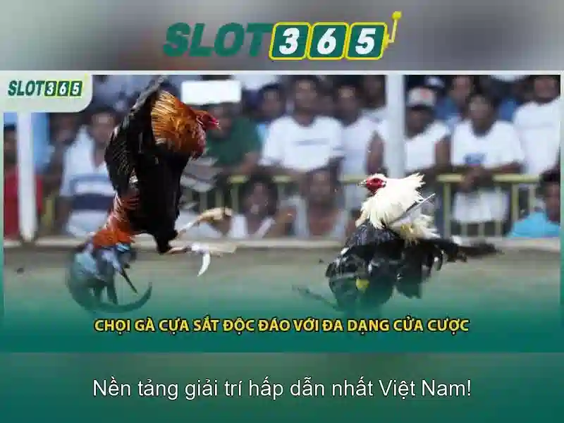 Slot365 là nền tảng slot trực tuyến đáng tin cậy cho trò chơi xèng