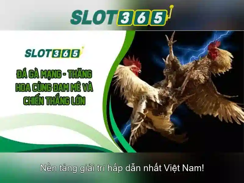 Slot365 - Nền tảng chơi slot trực tuyến hàng đầu