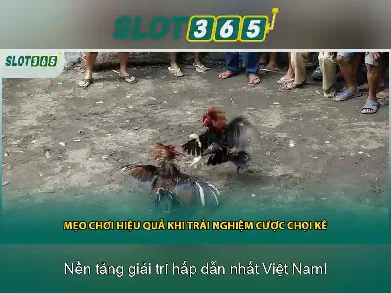 Slot365: Nền tảng trò chơi máy xè bạc trực tuyến hàng đầu