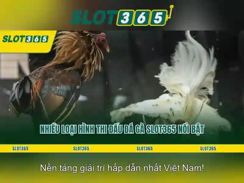 Slot365 – Trải nghiệm casino quay số trực tuyến