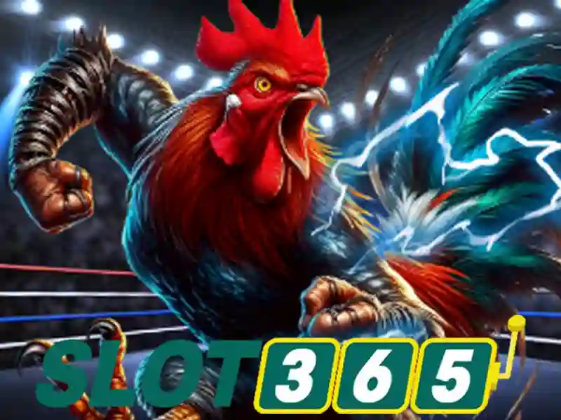 Slot365 - Nền tảng đánh bạc trực tuyến an toàn và đa dạng