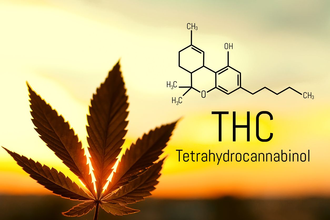 Best THC-V Products Reviewed