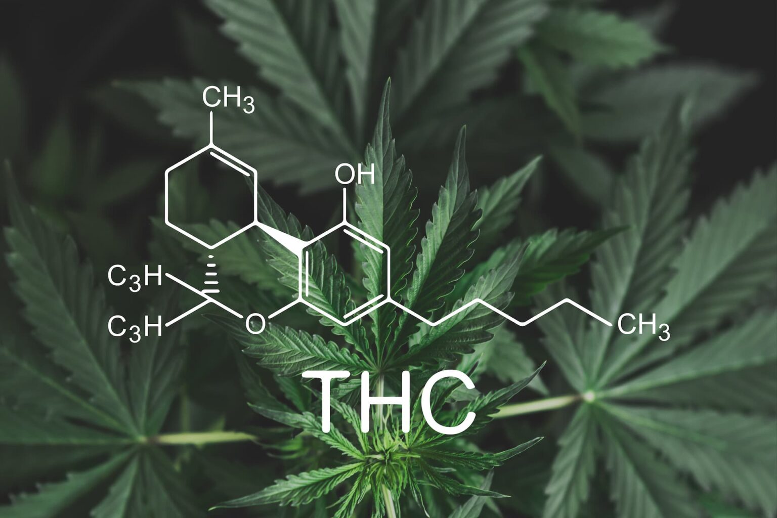 Best THC-X Products Reviewed