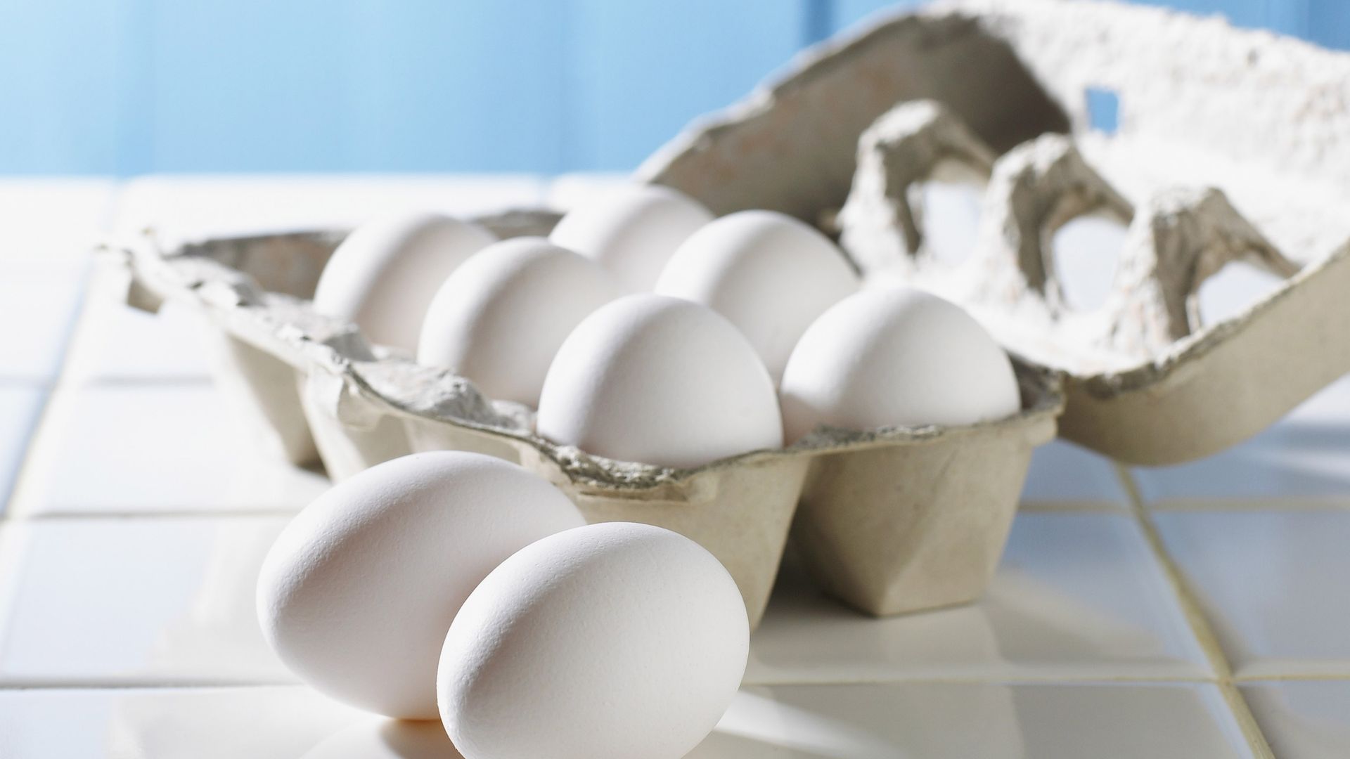 How Much Protein in an Egg