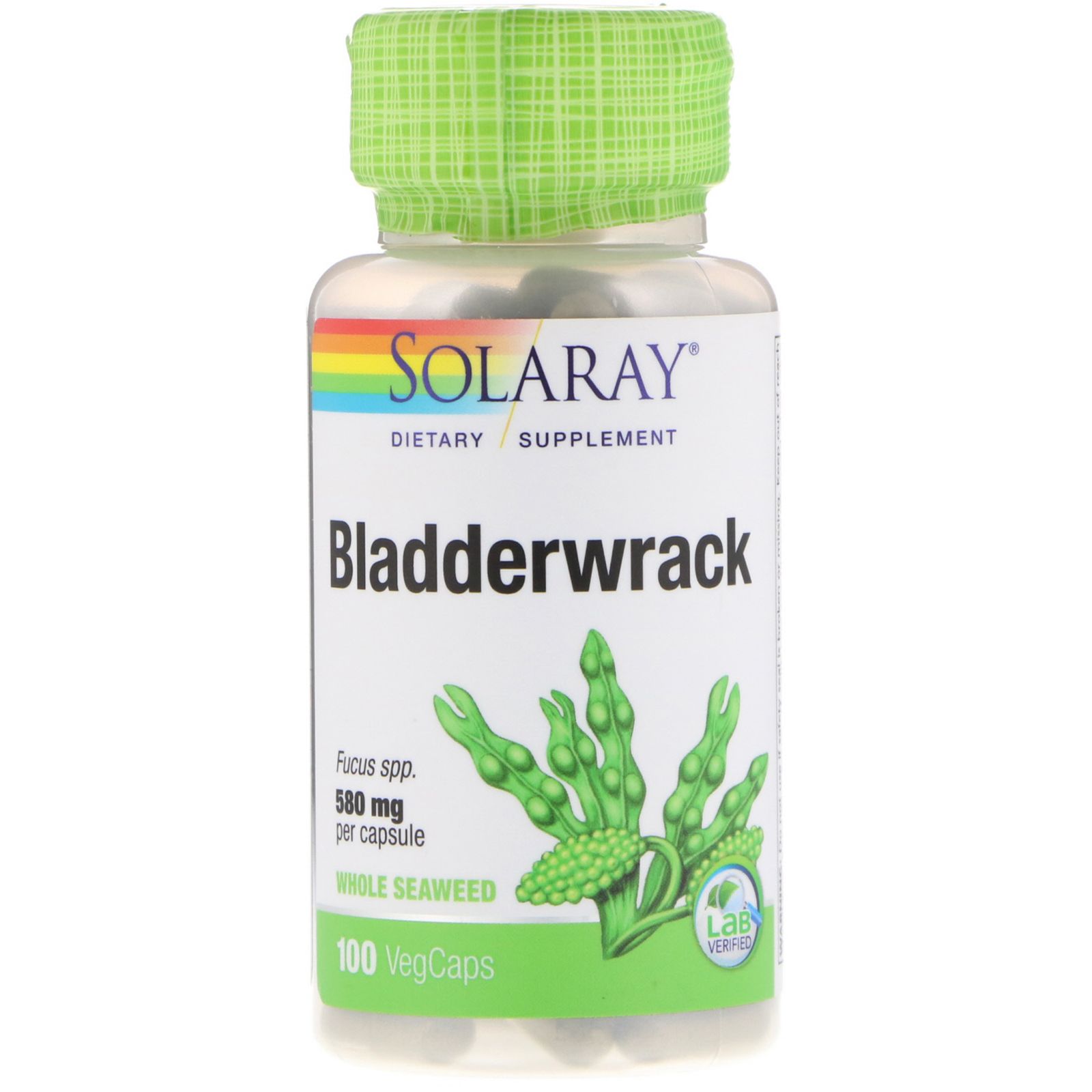 The Comprehensive Guide to the Benefits of Bladderwrack Supplements